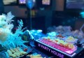 潭酒的销售技巧（潭酒：创新销售策略与市场洞察）