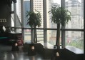 杭州江滨国际ktv会所怎么样（杭州江滨国际KTV：娱乐新体验，尽享奢华江岸风情）