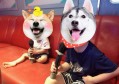 酒吧静吧（静谧酒吧：夜色中的沉思空间）