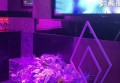 酒业销售面试技巧（酒类营销面试策略与创意展现）